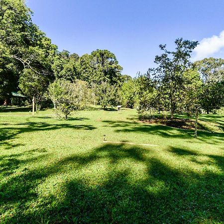 Refugio Ecologico Amadamata Hotel Nova Friburgo Eksteriør billede