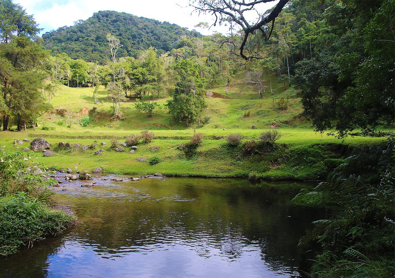 Refugio Ecologico Amadamata Hotel Nova Friburgo Eksteriør billede