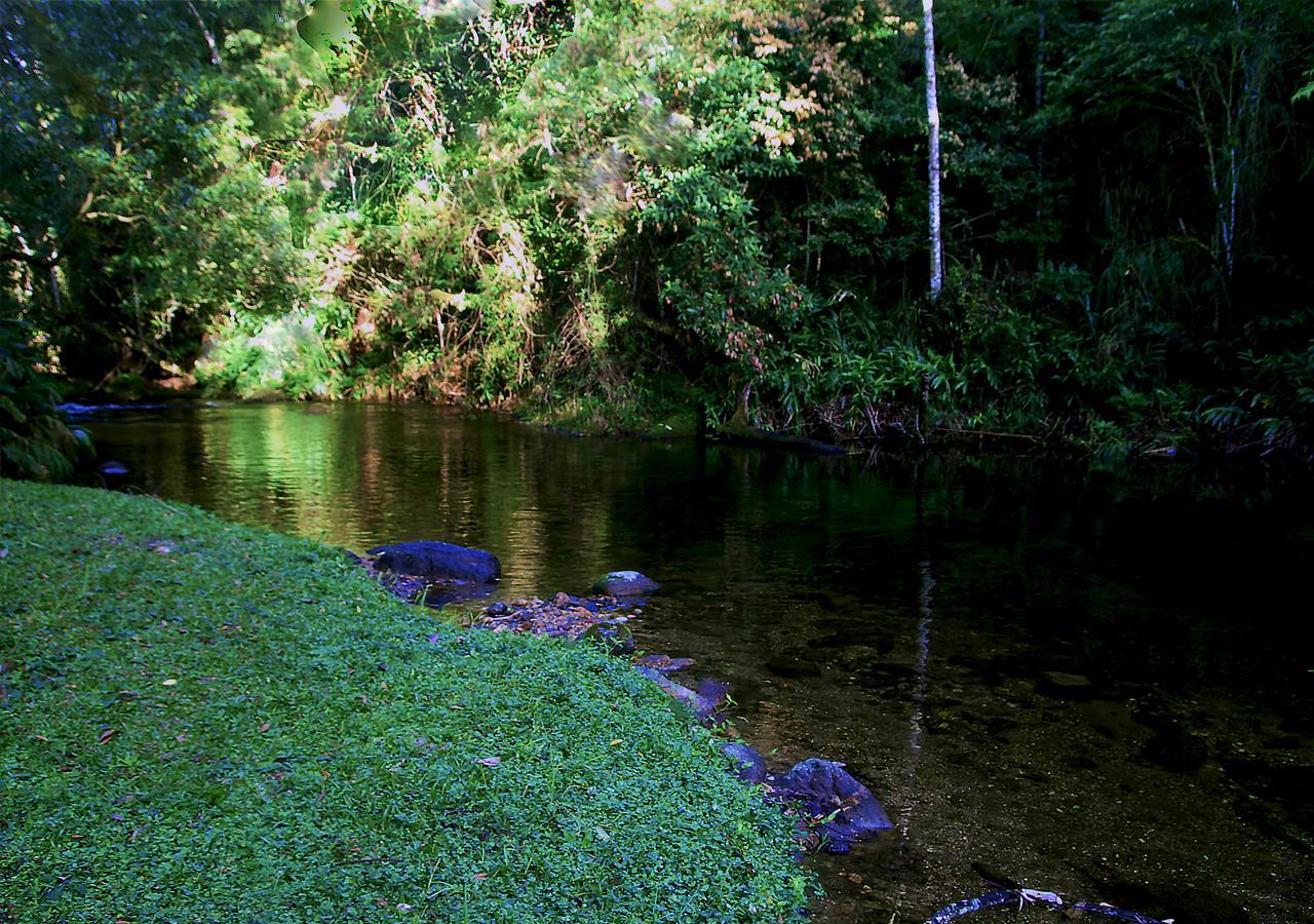 Refugio Ecologico Amadamata Hotel Nova Friburgo Eksteriør billede
