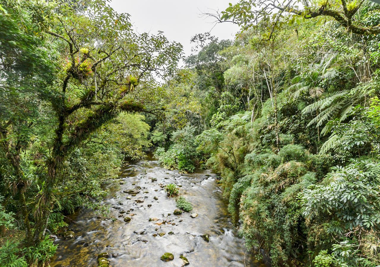Refugio Ecologico Amadamata Hotel Nova Friburgo Eksteriør billede
